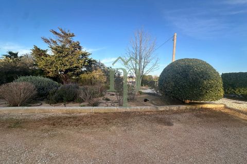 Villa i Mesagne, Brindisi, Mesagne - € 365.000 | Ref: Villa Palme - foto 14